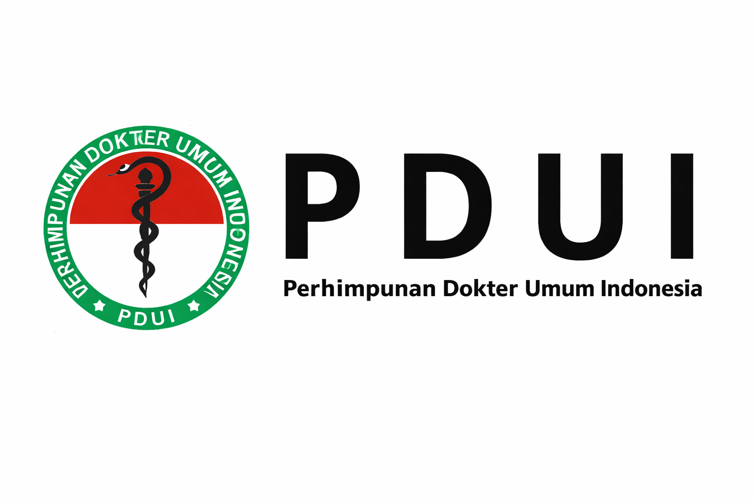PDUI Kota Tangerang Selatan